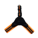 Pet Routice Leather Collar &amp; Leash