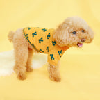 Tricot Pet Cactus