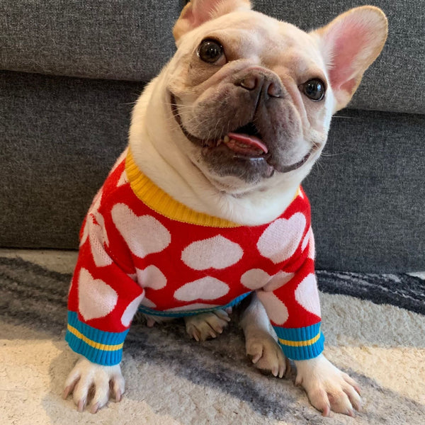 Tricot Pet Date - Pet Croc