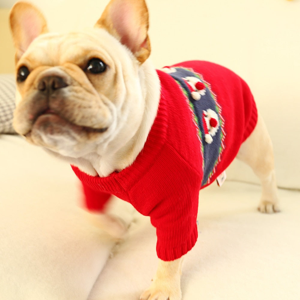 Knitted Pet Santa Claus 