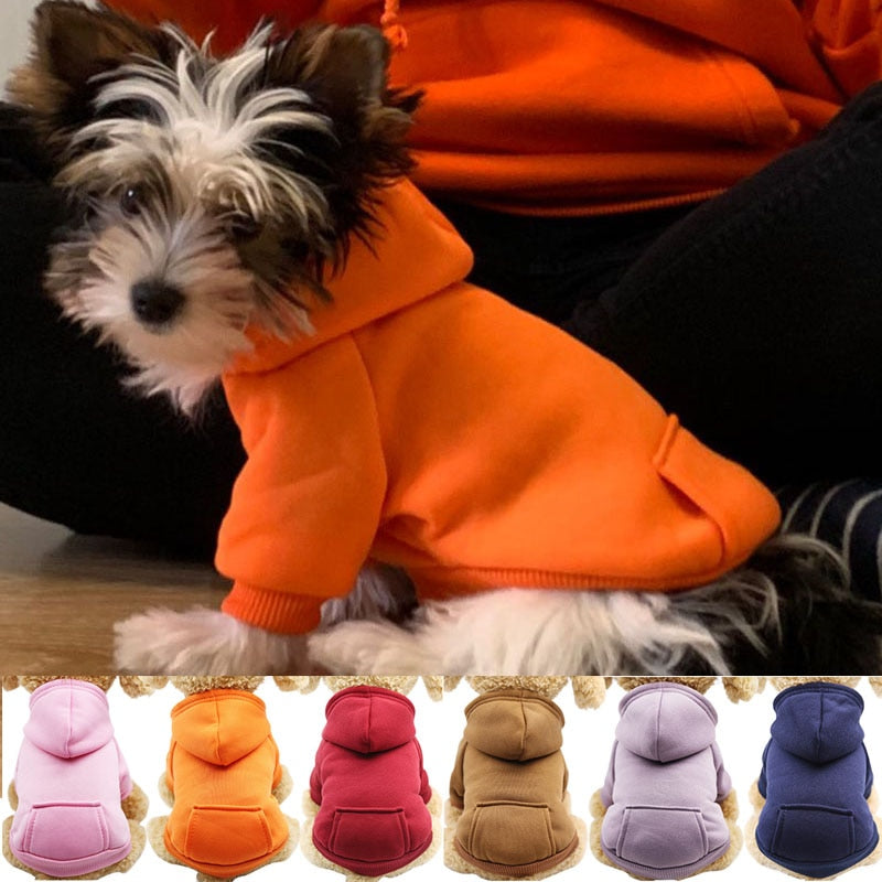 Moletom Pet Joico