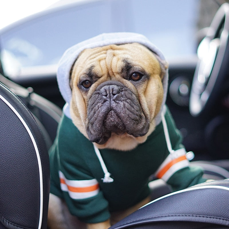 Pet Champs Sweatshirt