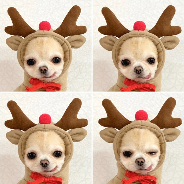 Pet Reindeer Sweatshirt