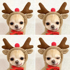 Pet Reindeer Sweatshirt