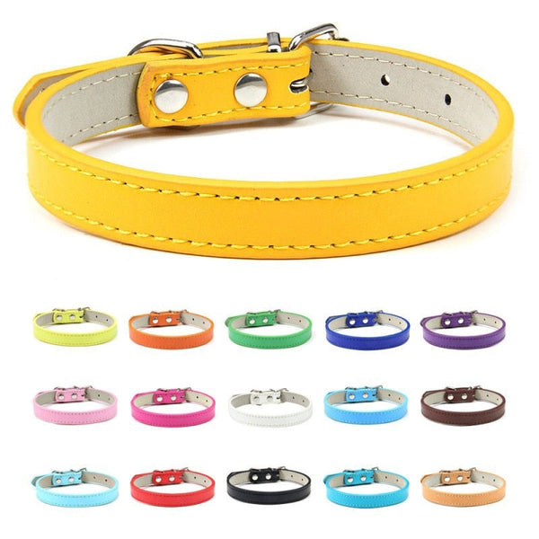 Coleira Basic Mely para Cachorro e Gato - Pet Croc