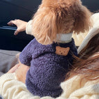 Zion Teddy Bear Sweatshirt
