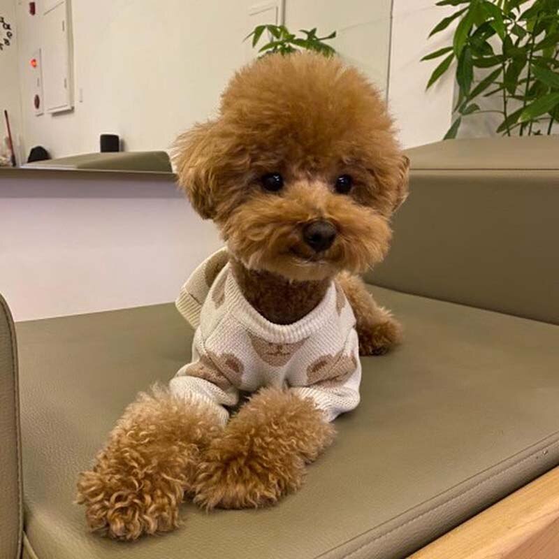 Suéter Pet Teddy
