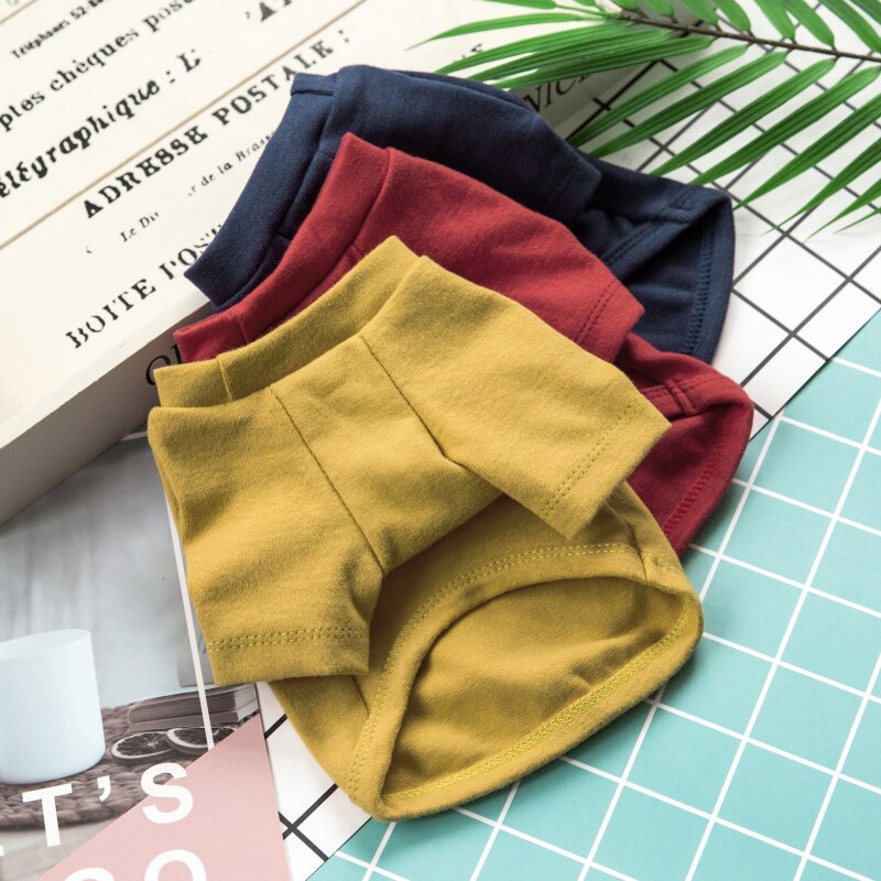 Pet Chic Sweatshirt