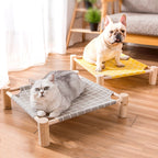 Maui Hammock Bed