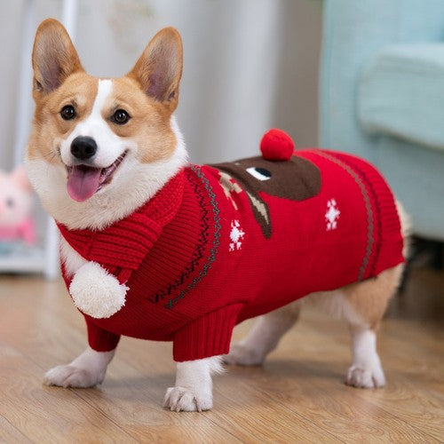 Christmas Dog Jacket