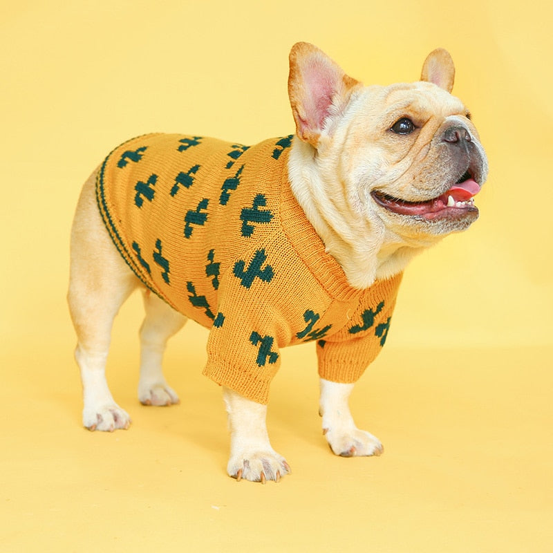 Tricot Pet Cactus