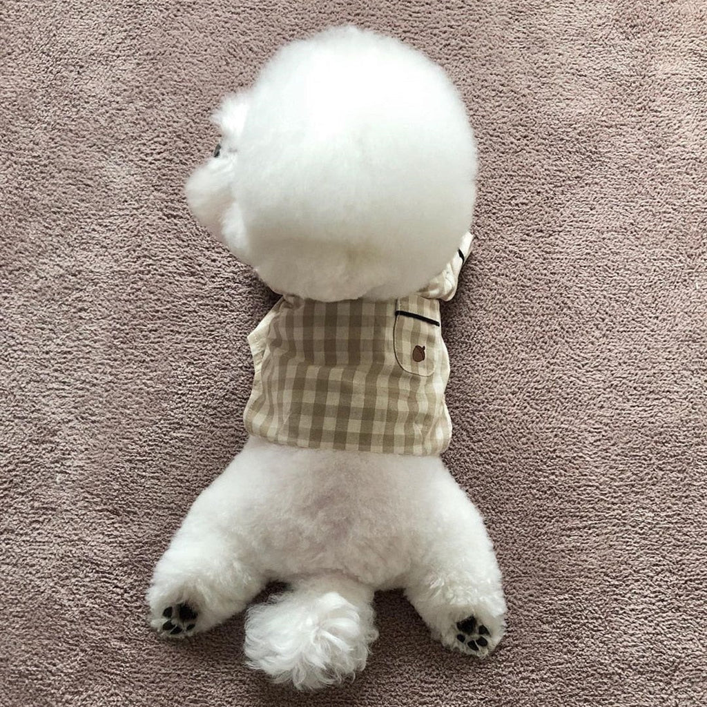 Pet Brie Checkered Pajamas