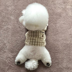 Pet Brie Checkered Pajamas