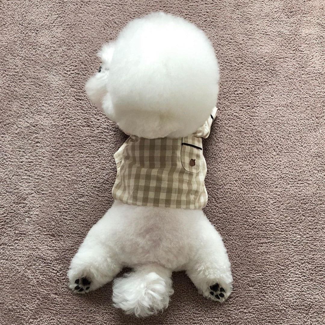 Pet Brie Checkered Pajamas