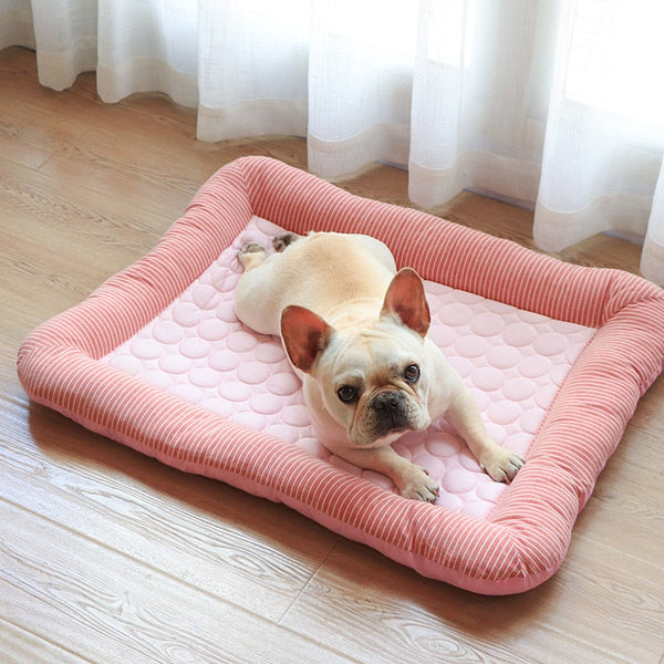 Caminha Fresca Kart para Cachorro e Gato - Pet Croc