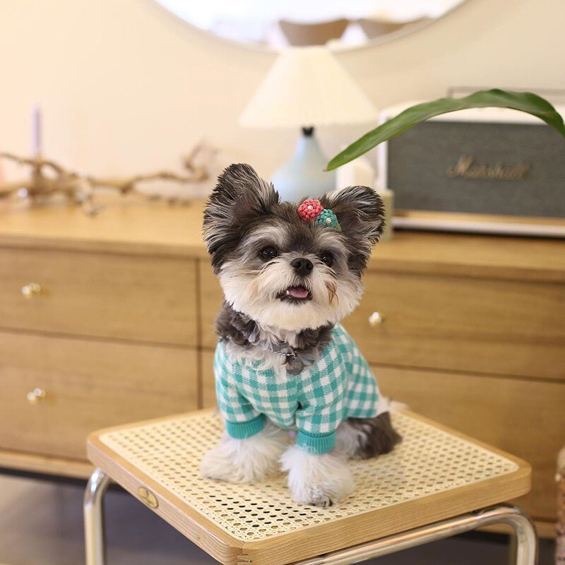 Tricot Pet Beju