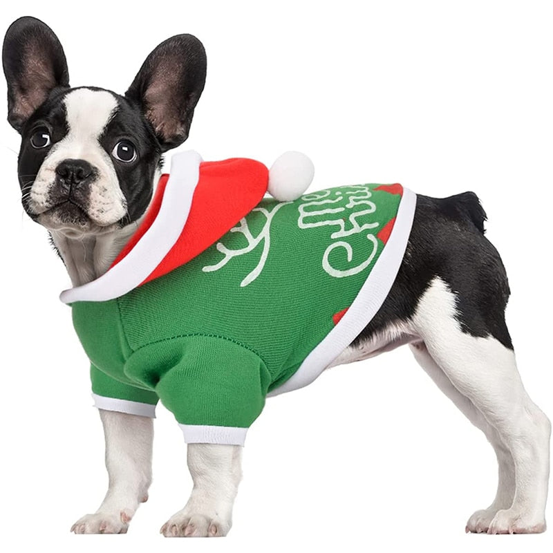 Pet Merry sweatshirt