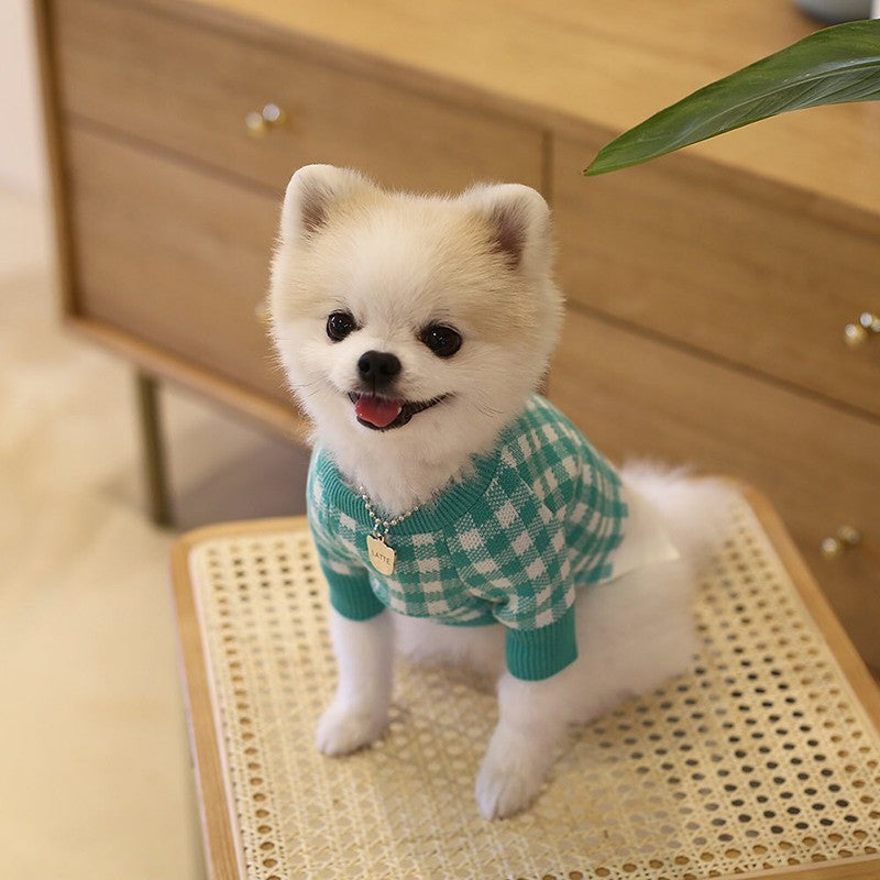 Tricot Pet Beju