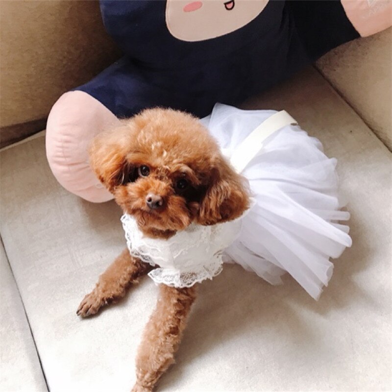 Pet Bride Dress