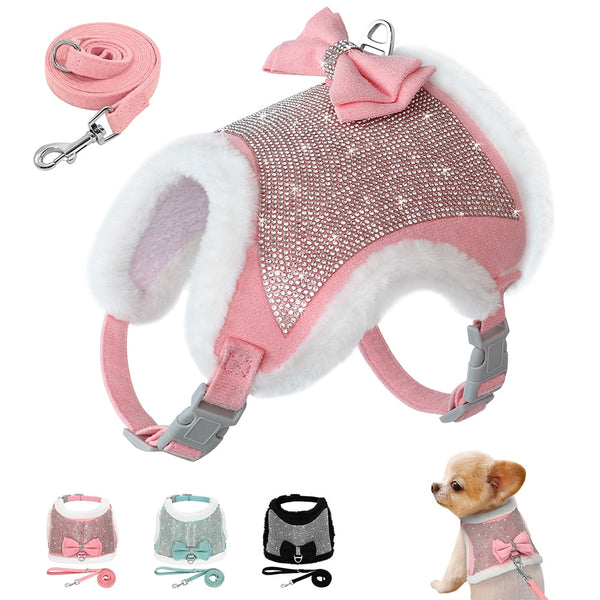 Coleira & Guia Pet Divine - Pet Croc