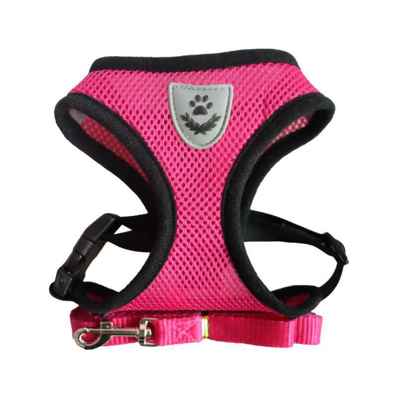 Pet Bunit Collar &amp; Leash