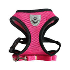 Pet Bunit Collar &amp; Leash
