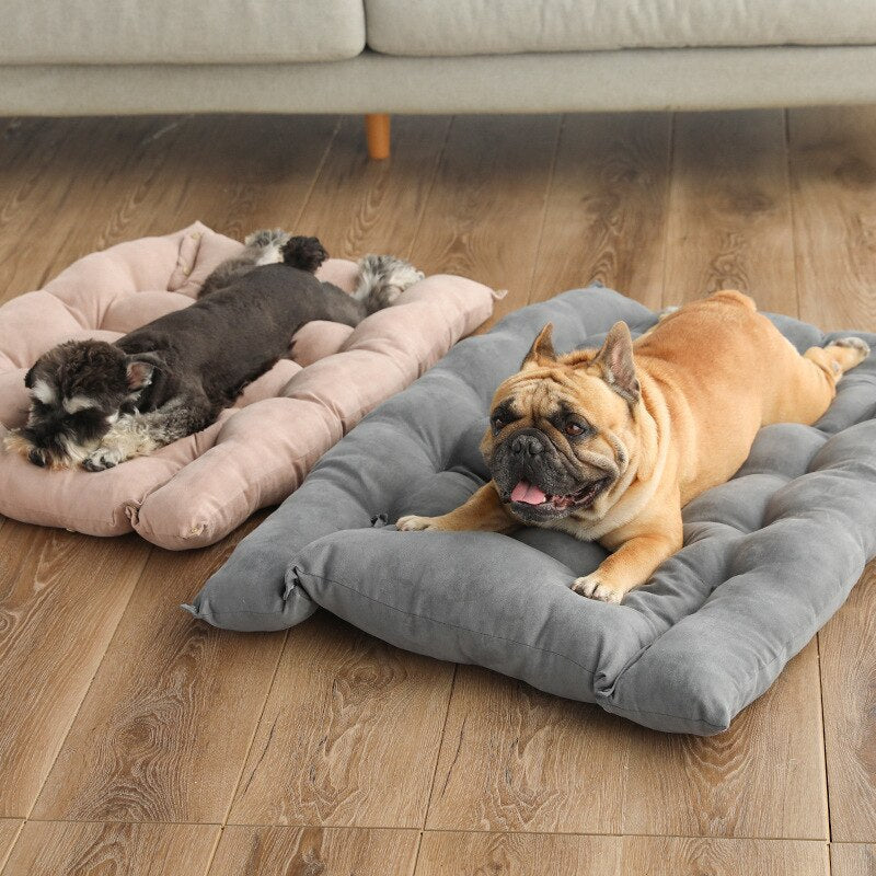 Multifunctional Bed Page