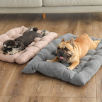 Multifunctional Bed Page