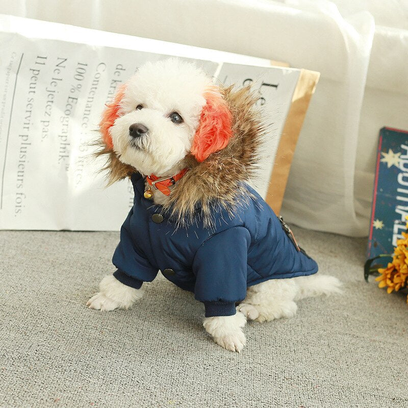 Pet Tigo Jacket 