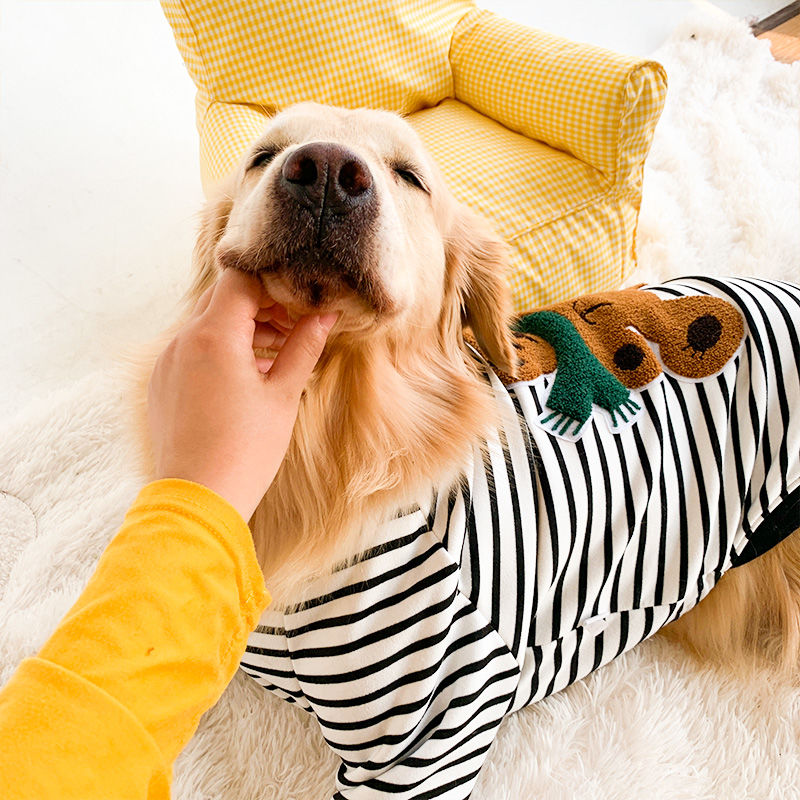 Apolo Pet Sweatshirt