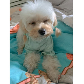 Blusa Pet Mozi