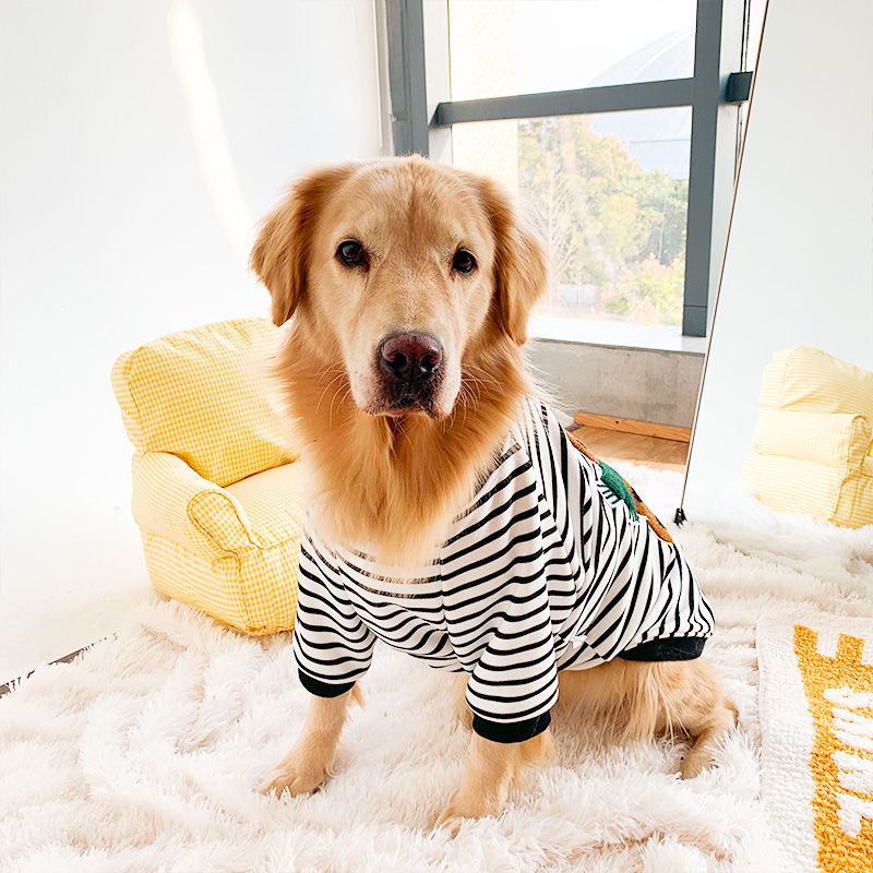 Apolo Pet Sweatshirt