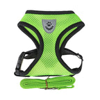 Pet Bunit Collar &amp; Leash