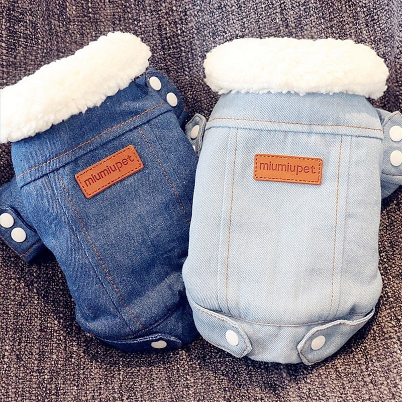 Luxury Pet Jacket