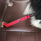 Duty Pet Car Seat Belt