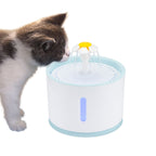 Twin Automatic Water Fountain