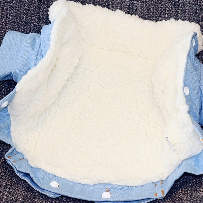 Luxury Pet Jacket