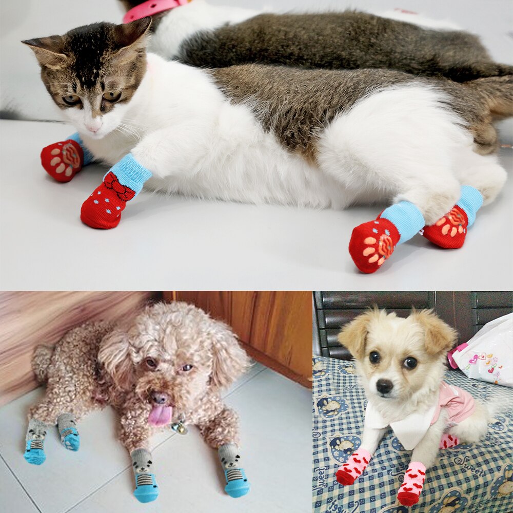 Pet Lover Socks - 4 pieces