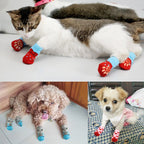 Pet Lover Socks - 4 pieces