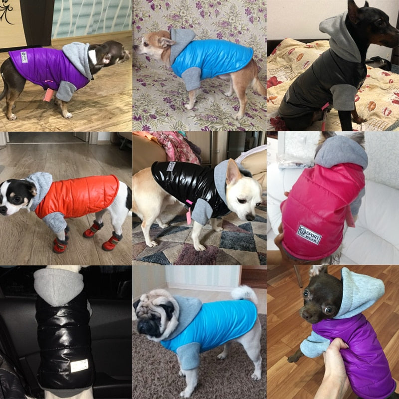 Pet Mogan Jacket