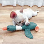 Joseph the Duck Toy