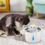 Twin Automatic Water Fountain