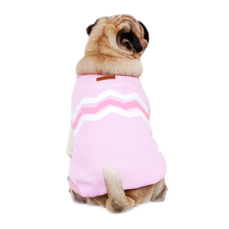 Pet Spring Sweatshirt