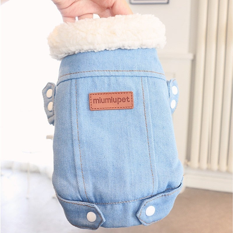 Luxury Pet Jacket
