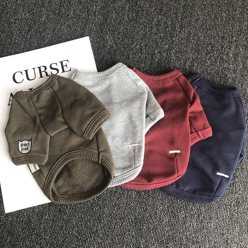 Autumn Pet Sweatshirt
