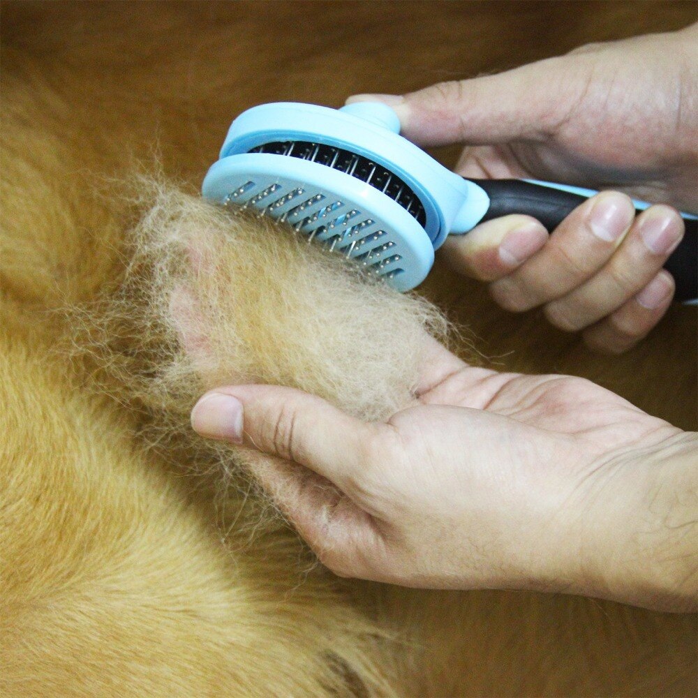 Econix Quick Cleaning Pet Brush