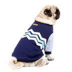 Pet Spring Sweatshirt