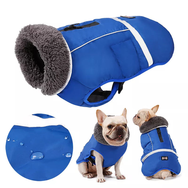 Colete Inverno Impermeável Colisse para Cachorro - Pet Croc