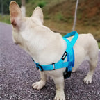 Flexo Anti-pull Chest Harness