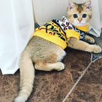 Tricot Pet Mik